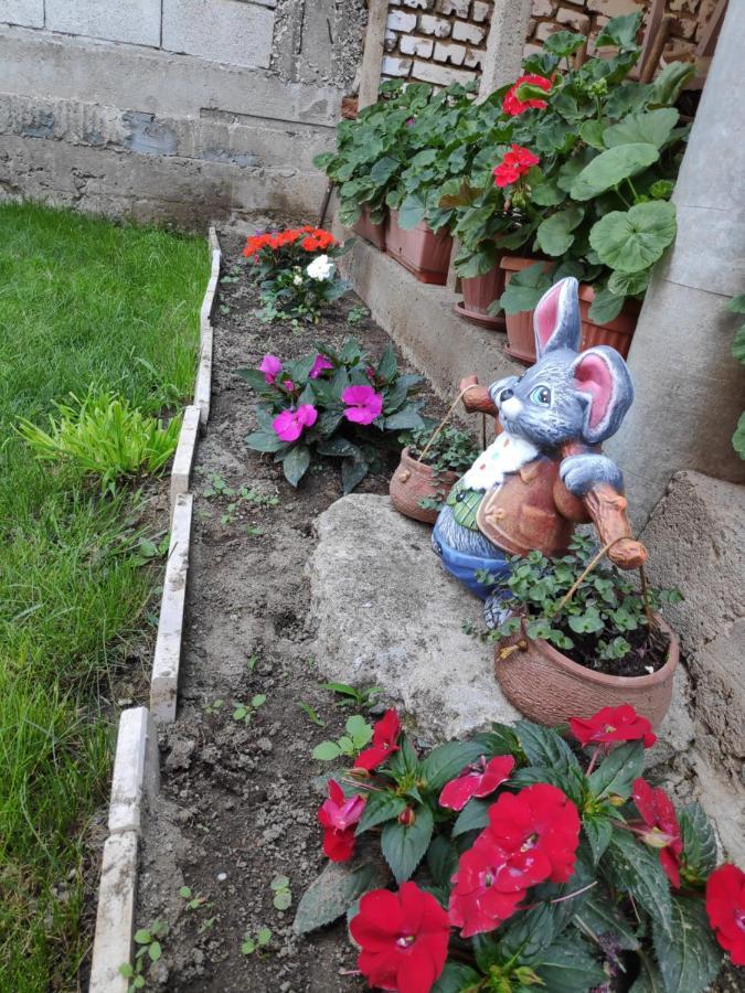 Къща За Гости Снежа/ Guest House Snezha Obzor Eksteriør billede